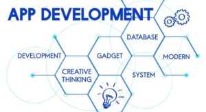 Mobile App: Out of the box or Custom? 8 Mobile app development